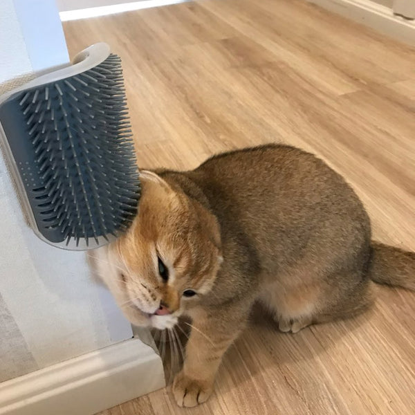 Brush Corner Cat Massage